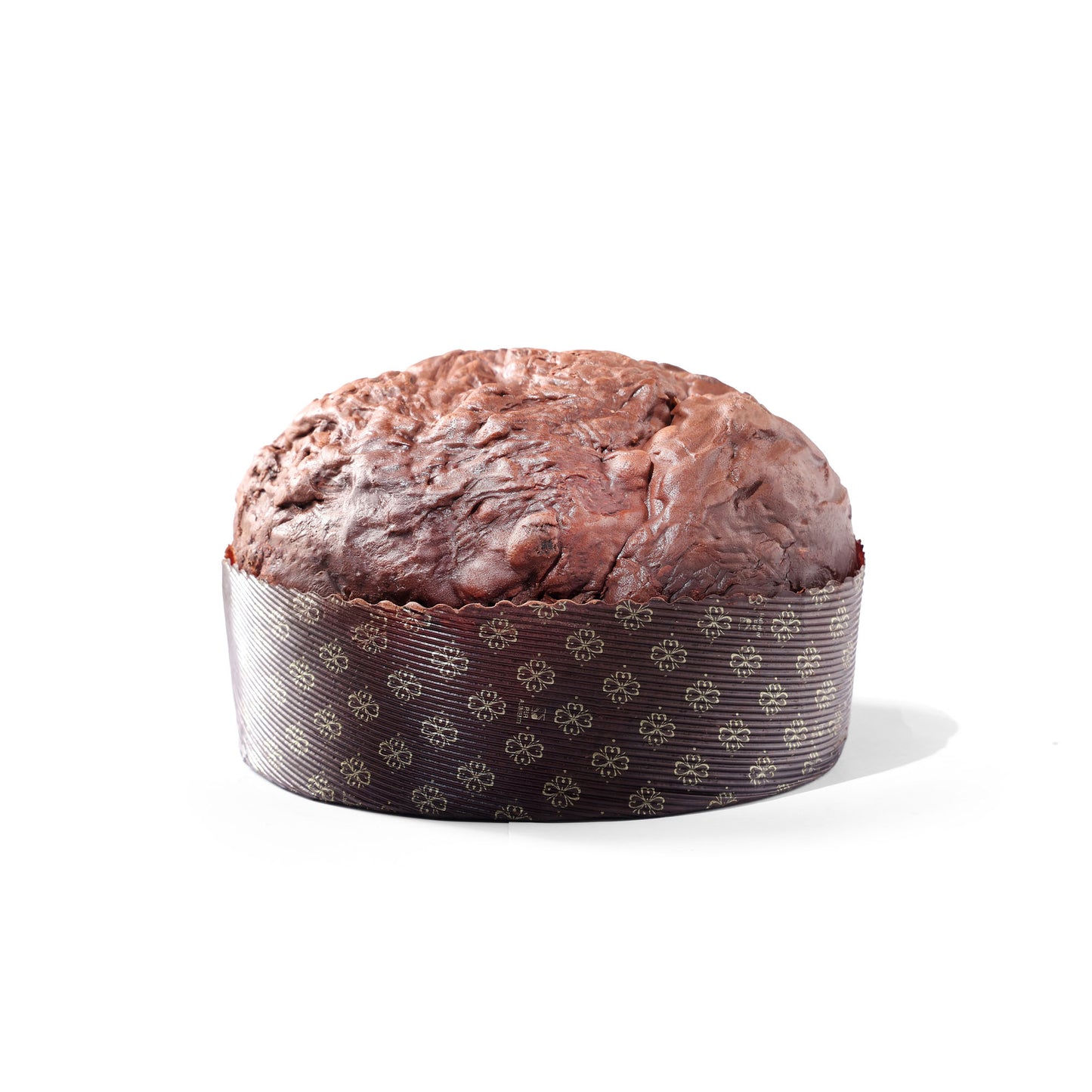 Chocolate Panettone